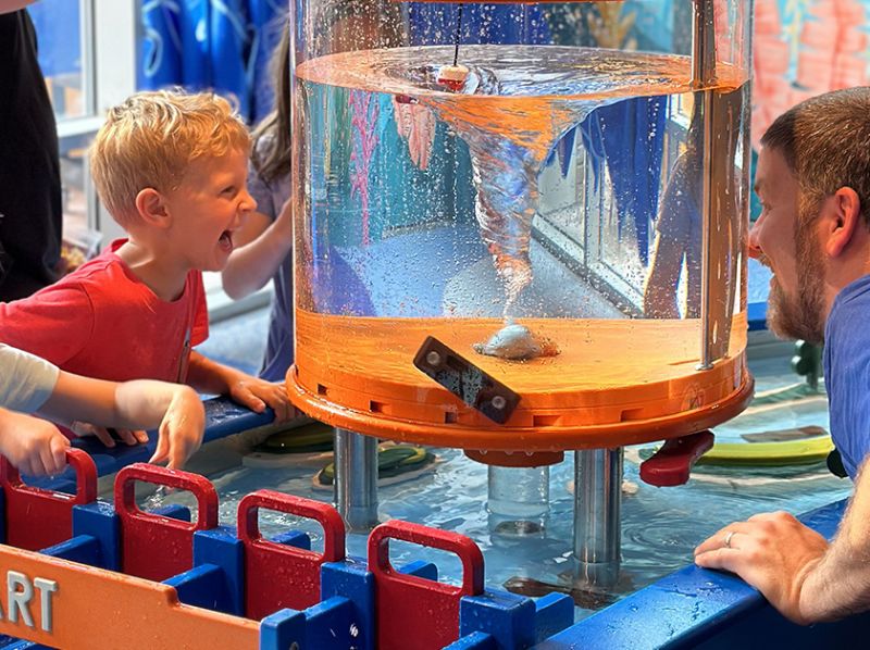 10 Things To Do With Kids Near Wake Forest