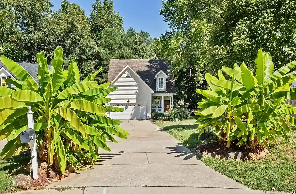 The driveway, flanked between two banana plants, provides plenty of parking.